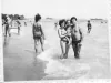 1983-epava-in-fundal