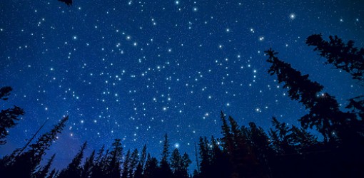 Simply Red — Stars