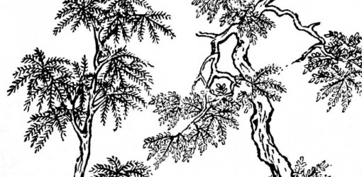 Shigeru Umebayashi — Yumeji's Theme