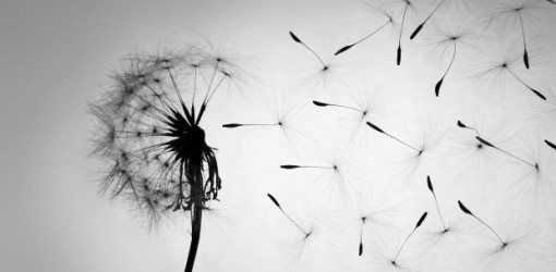 Youssou N'Dour ft. Neneh Cherry — 7 Seconds