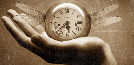 Song of the day – November 27, 2012 — arhivă recuperată, Rose